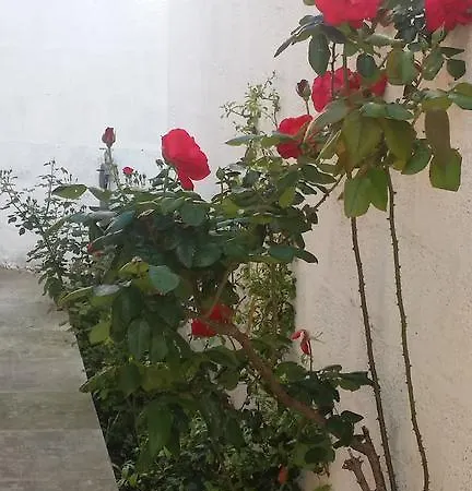 La Lumaca * Lecce